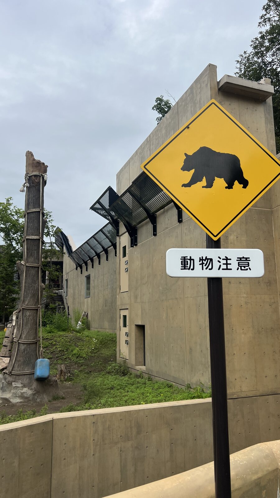 園區裡立著一面黃色菱形的道路警告標誌，圖案是一隻熊，底下寫著「動物注意」。