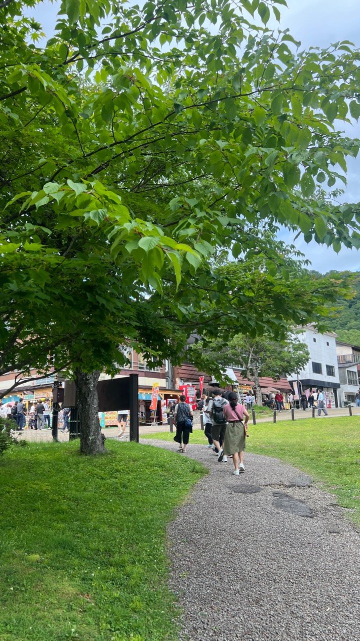 支笏湖公園樹蔭步道實拍，呈現湖畔一日停留的步行節奏。