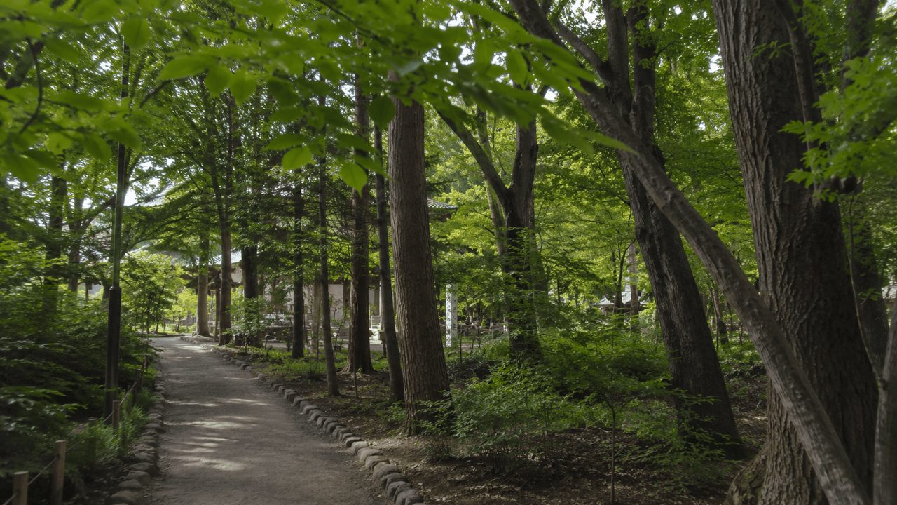 円山公園旅行地點照片